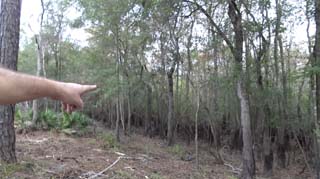 Originally the plan was to build the boardwalk over there, where Tim is pointing